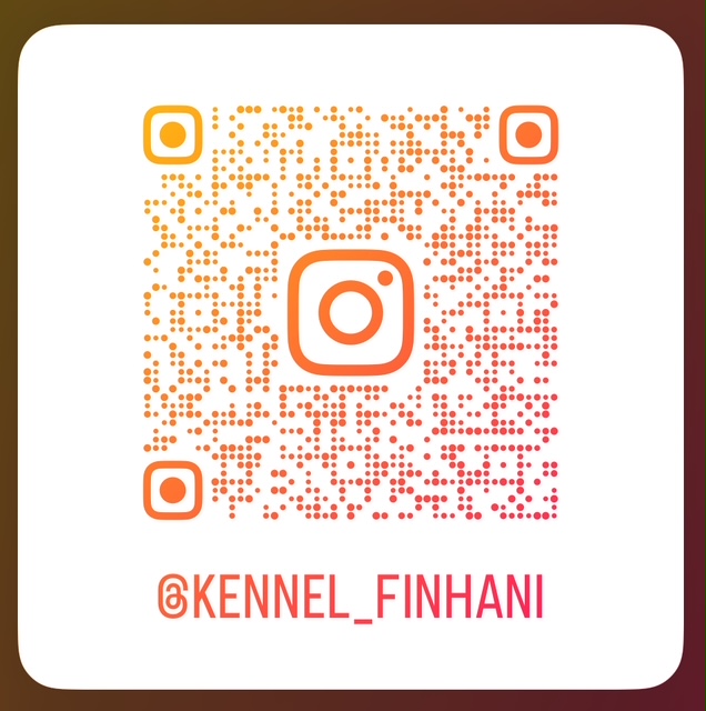 we´re on Instagram